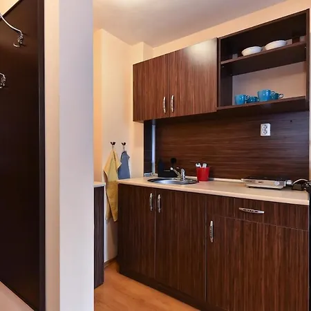 Апартамент Maksimovi's Studio2 Банско