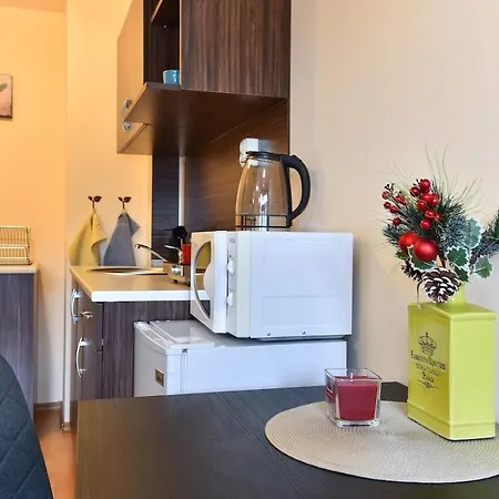Maksimovi's Studio2 * Банско